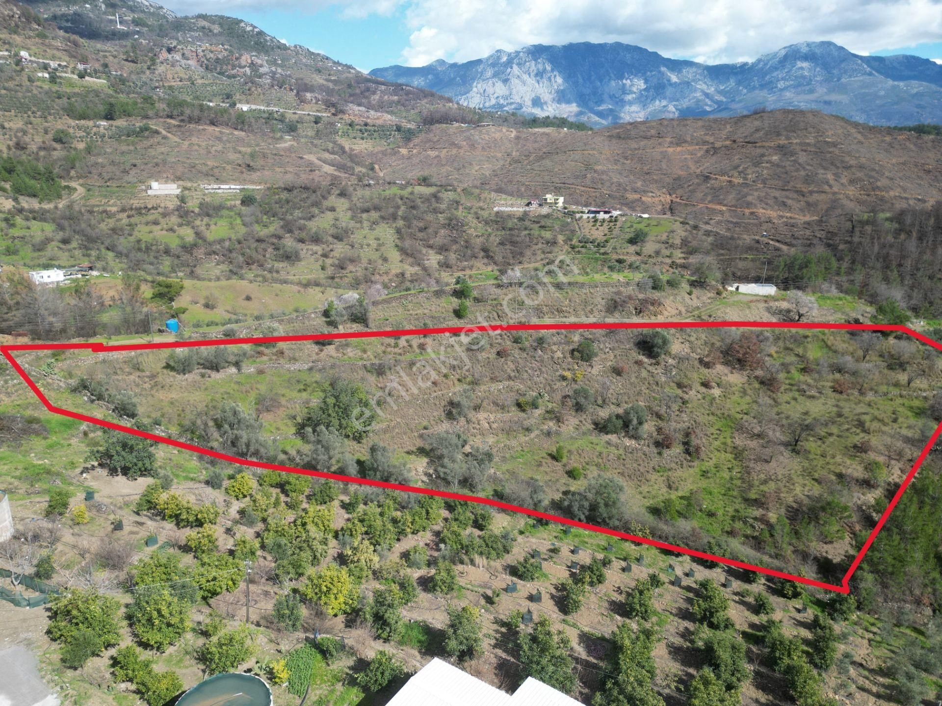 Alanya Şıhlar Mahallesi’nde Satılık 6.900 M² Yola Sıfır Tarla - Görsel 4