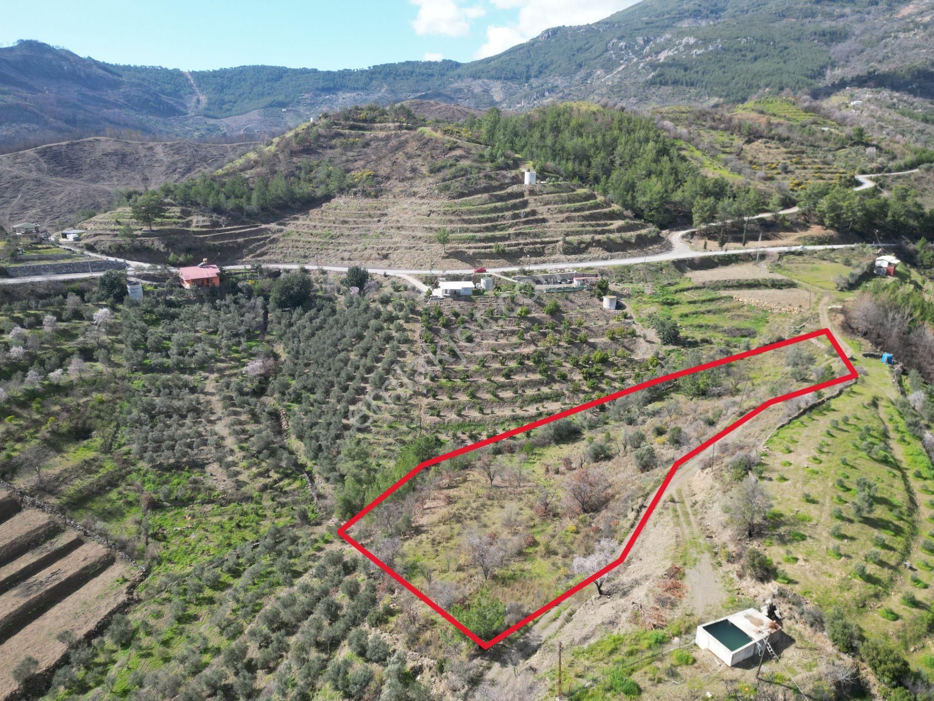 Alanya Şıhlar Mahallesi’nde Satılık 6.900 M² Yola Sıfır Tarla - Görsel 10