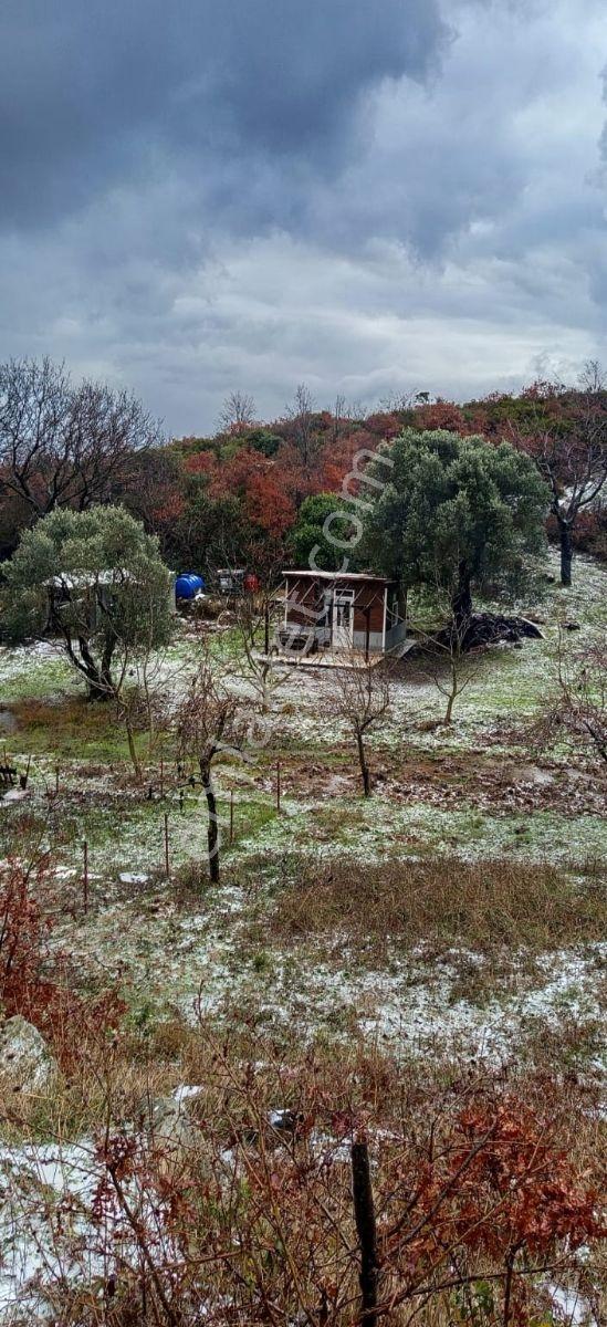Selçuklu'dan Kulakpınar'da Yerleşime Yakın Fırsat Bahçe - Görsel 2