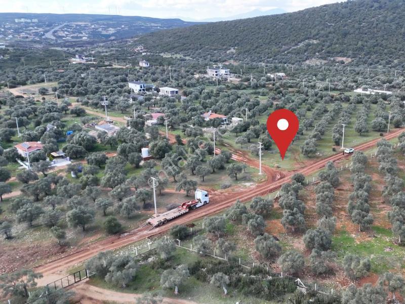 Kardelen | Yanı Park | Önü Zeytinlik | Köşe Parsel - Görsel 6