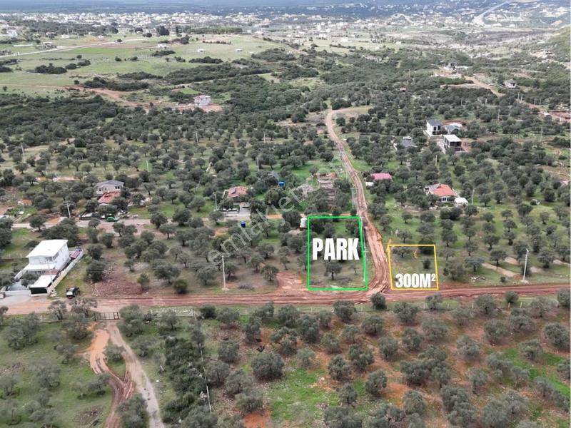 Kardelen | Yanı Park | Önü Zeytinlik | Köşe Parsel - Görsel 3