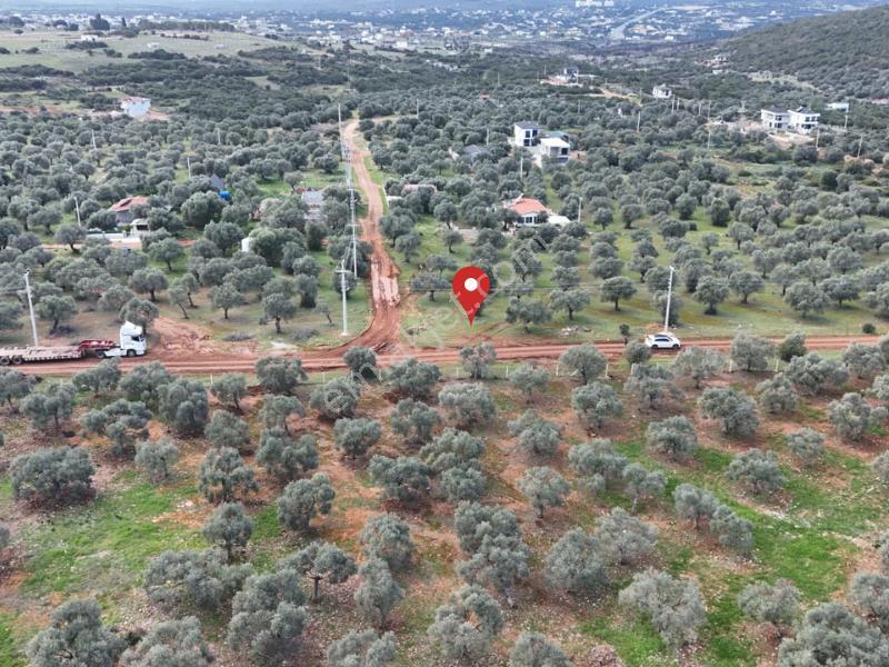 Kardelen | Yanı Park | Önü Zeytinlik | Köşe Parsel - Görsel 8
