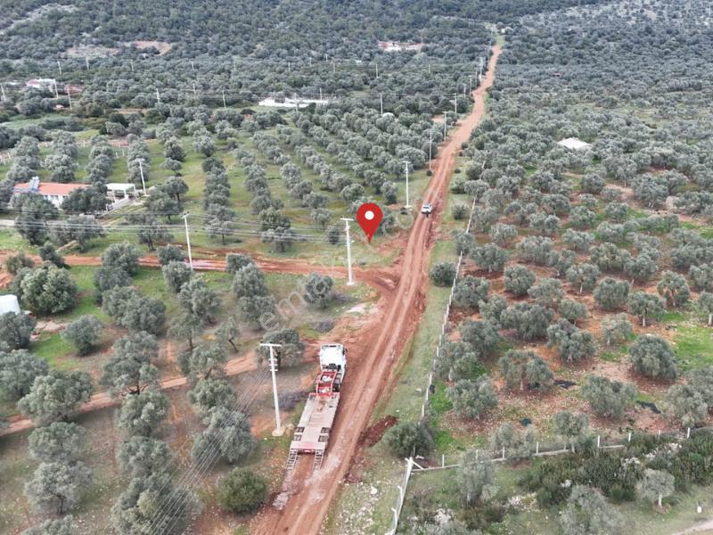Kardelen | Yanı Park | Önü Zeytinlik | Köşe Parsel - Görsel 9