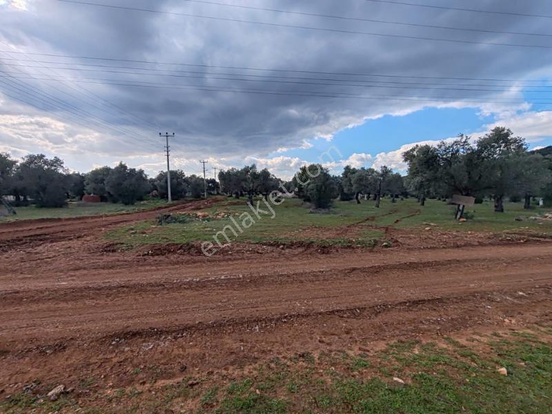 Kardelen | Yanı Park | Önü Zeytinlik | Köşe Parsel - Görsel 13