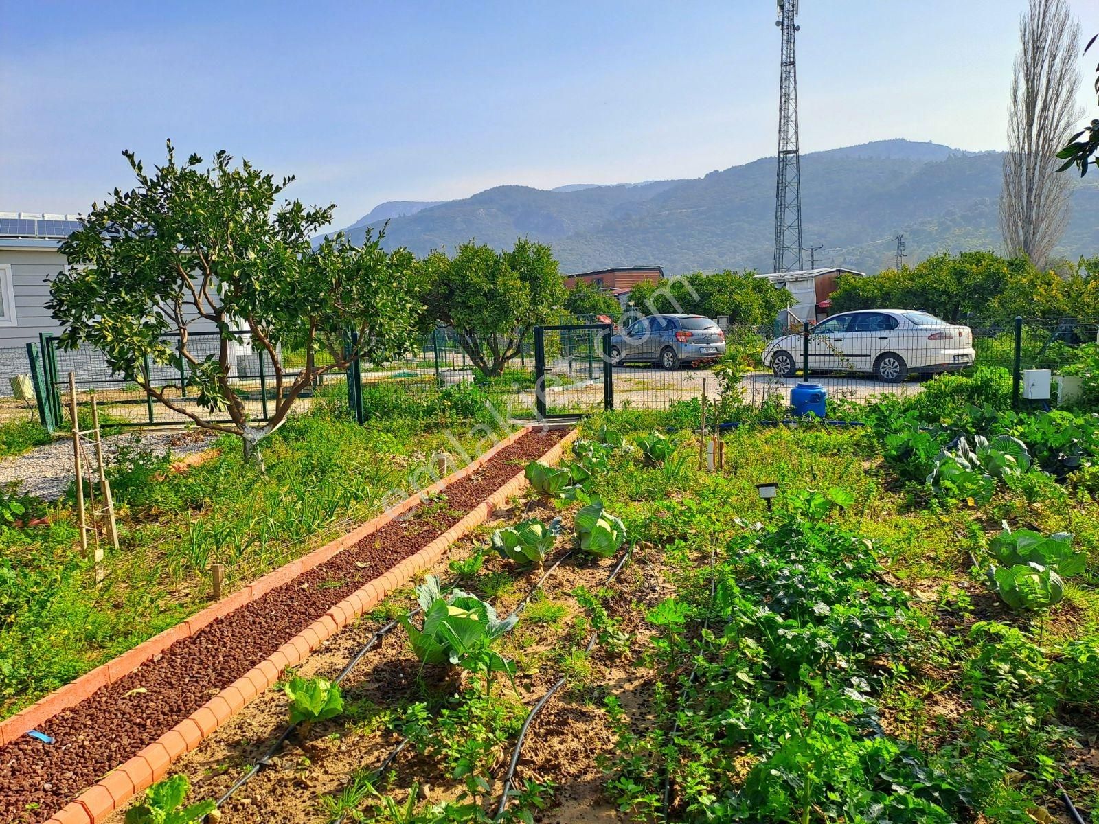 Gümüldür Merkezde Müstakil Yaşam Bahçesi - Görsel 4