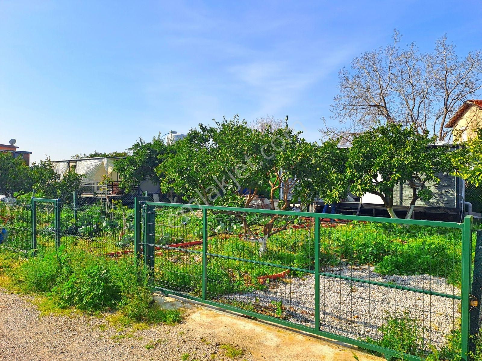 Gümüldür Merkezde Müstakil Yaşam Bahçesi - Görsel 19