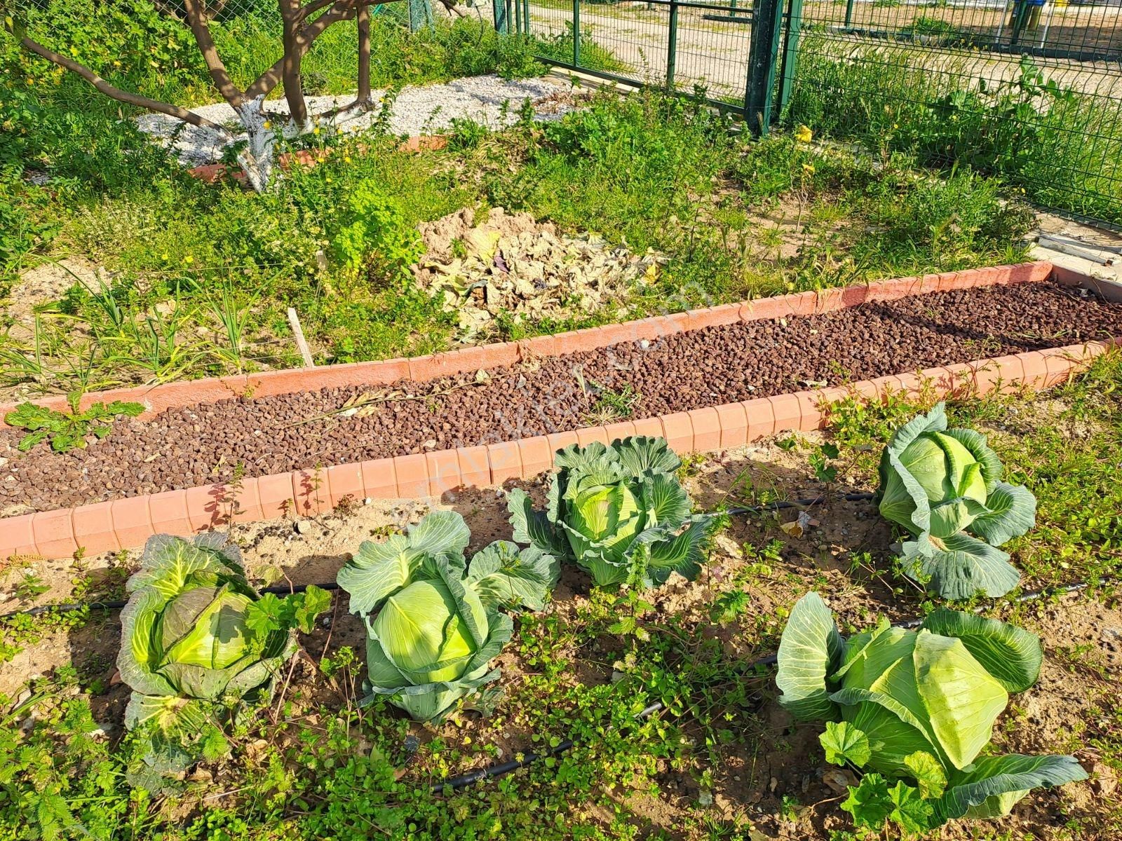 Gümüldür Merkezde Müstakil Yaşam Bahçesi - Görsel 23