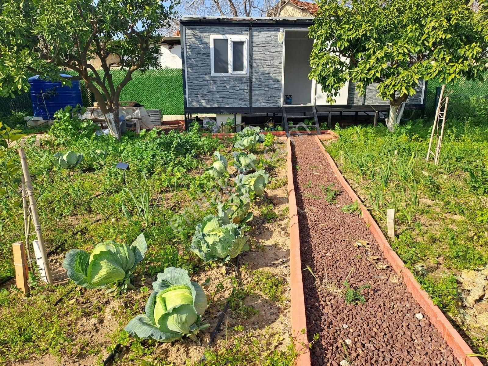 Gümüldür Merkezde Müstakil Yaşam Bahçesi - Görsel 6