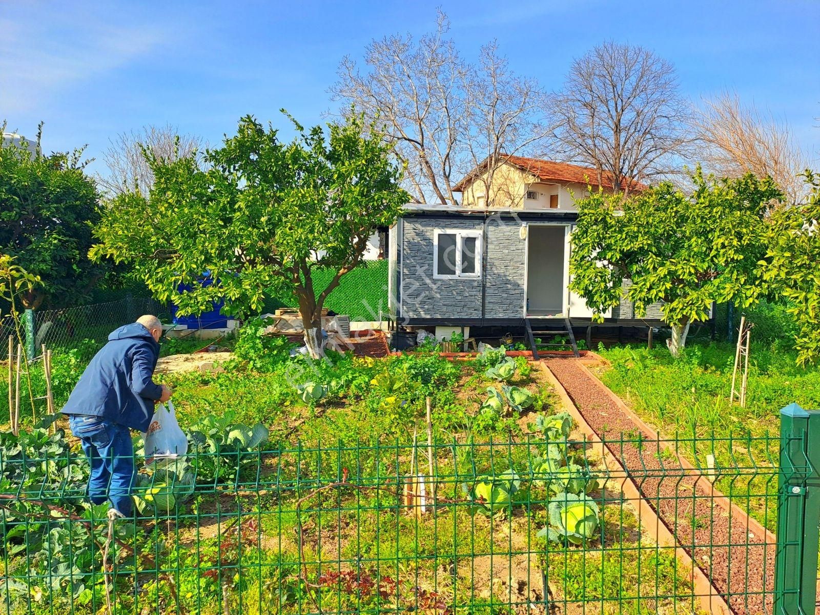 Gümüldür Merkezde Müstakil Yaşam Bahçesi - Görsel 5