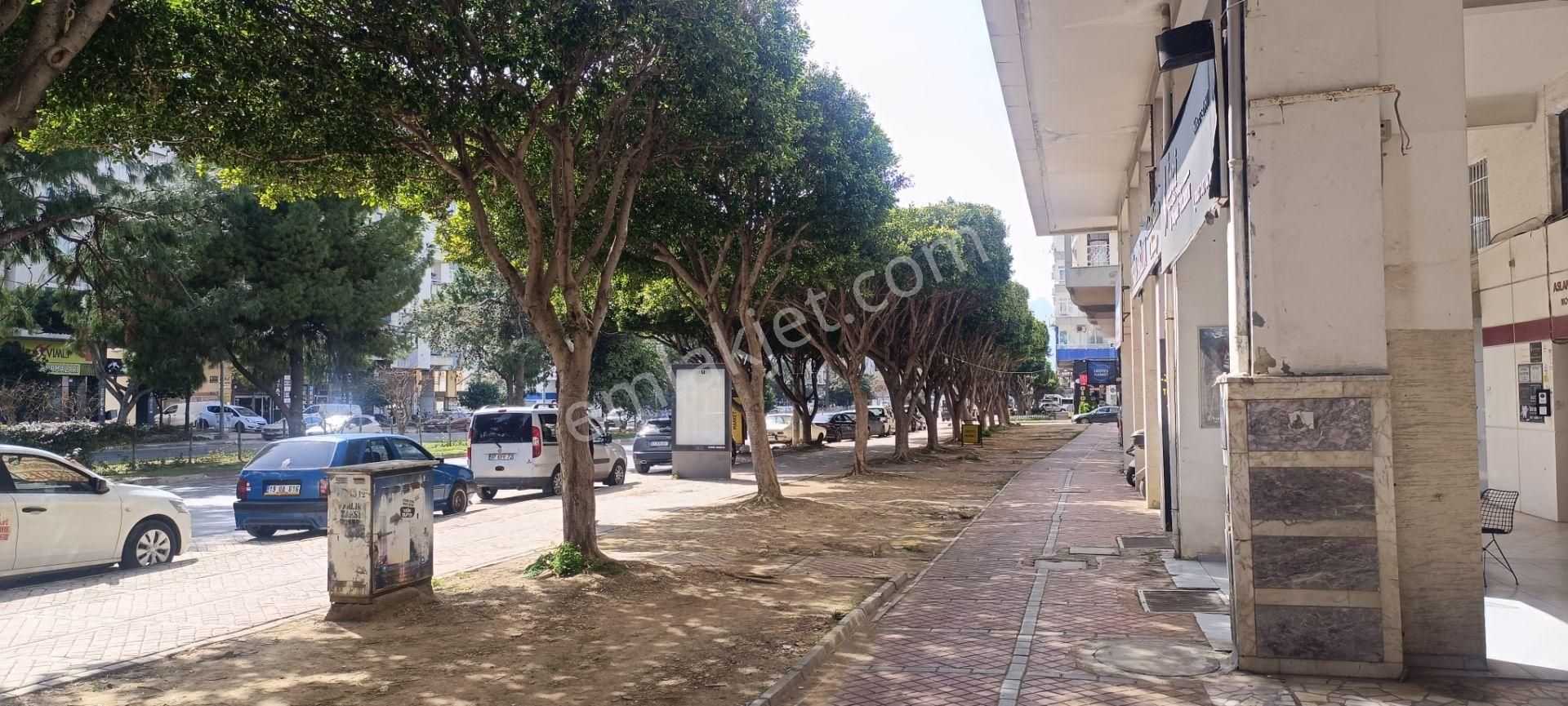 100.yıla Cephe 3 Katlı Dükkan - Görsel 14