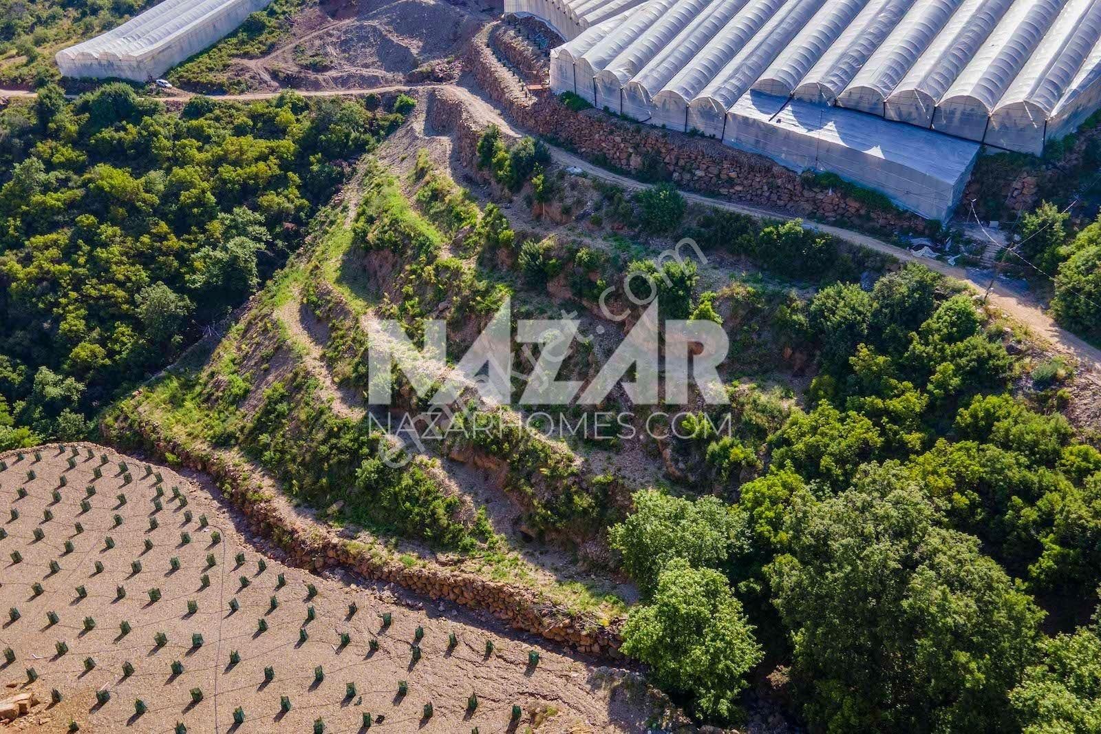 Alanya Güneyköy Mahallesi’nde Satılık 3.746 M2 Tarla - Görsel 12