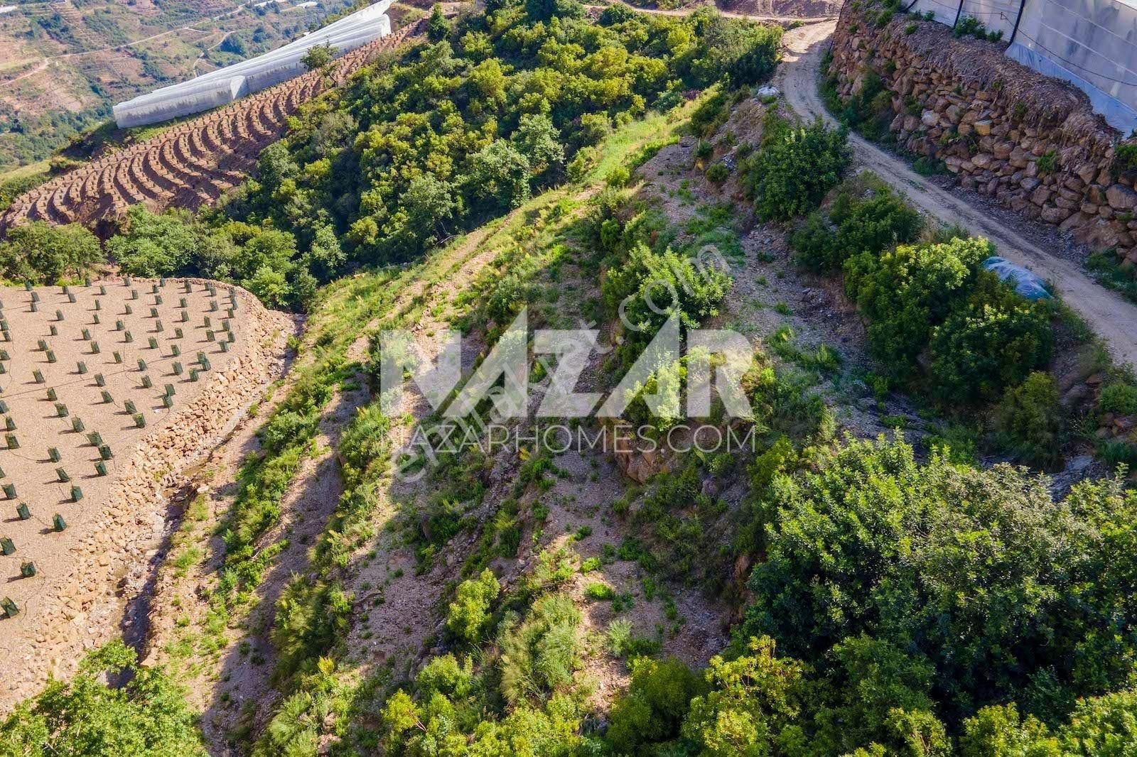 Alanya Güneyköy Mahallesi’nde Satılık 3.746 M2 Tarla - Görsel 9