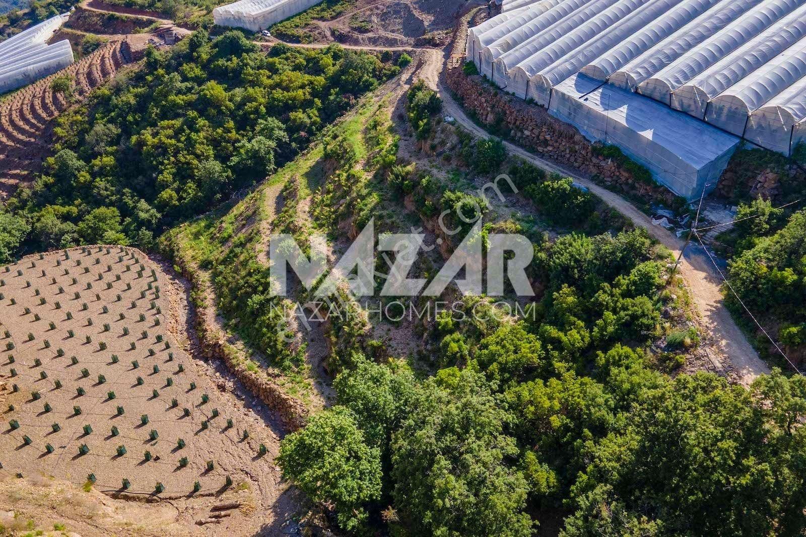 Alanya Güneyköy Mahallesi’nde Satılık 3.746 M2 Tarla - Görsel 11