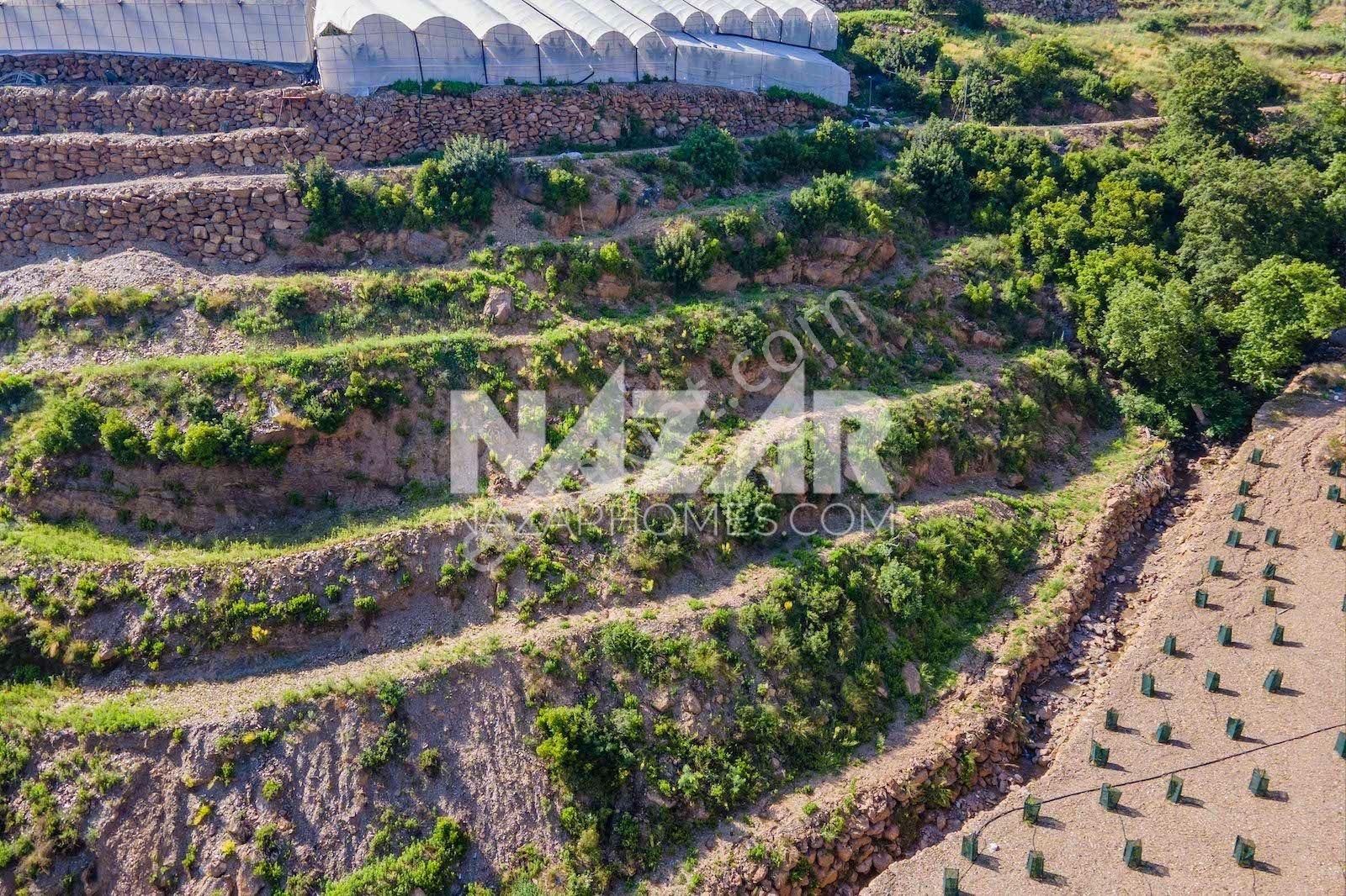 Alanya Güneyköy Mahallesi’nde Satılık 3.746 M2 Tarla - Görsel 15