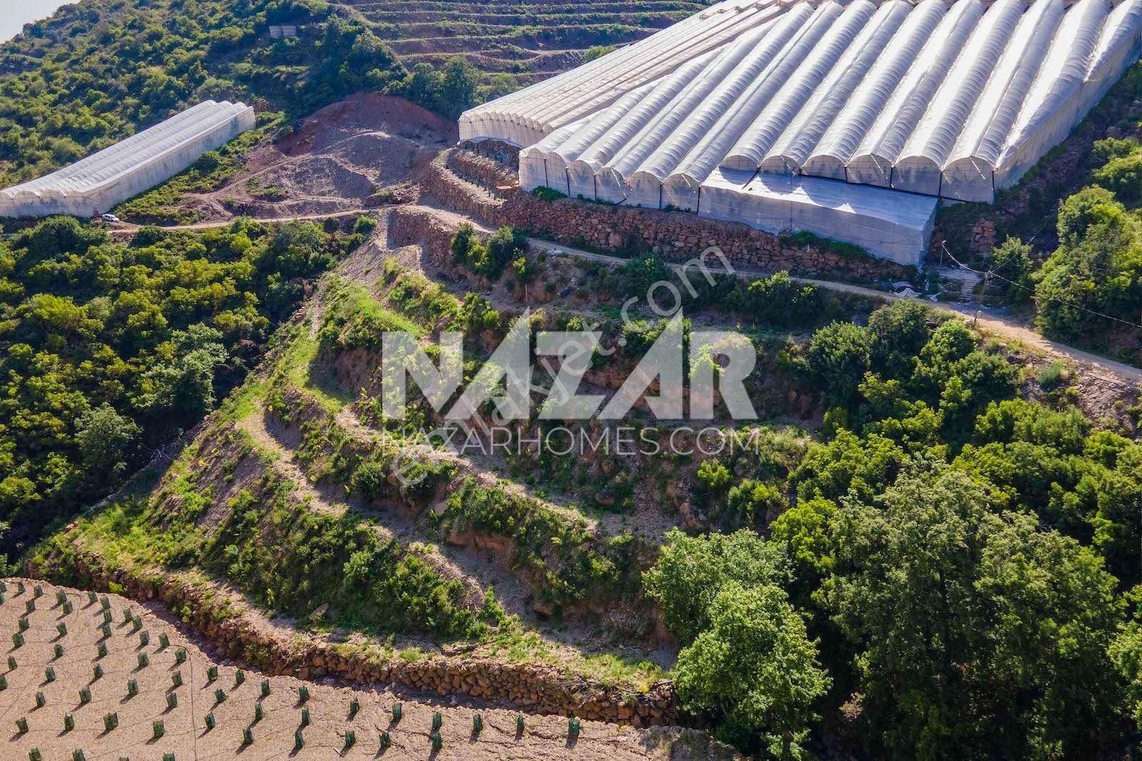 Alanya Güneyköy Mahallesi’nde Satılık 3.746 M2 Tarla - Görsel 16