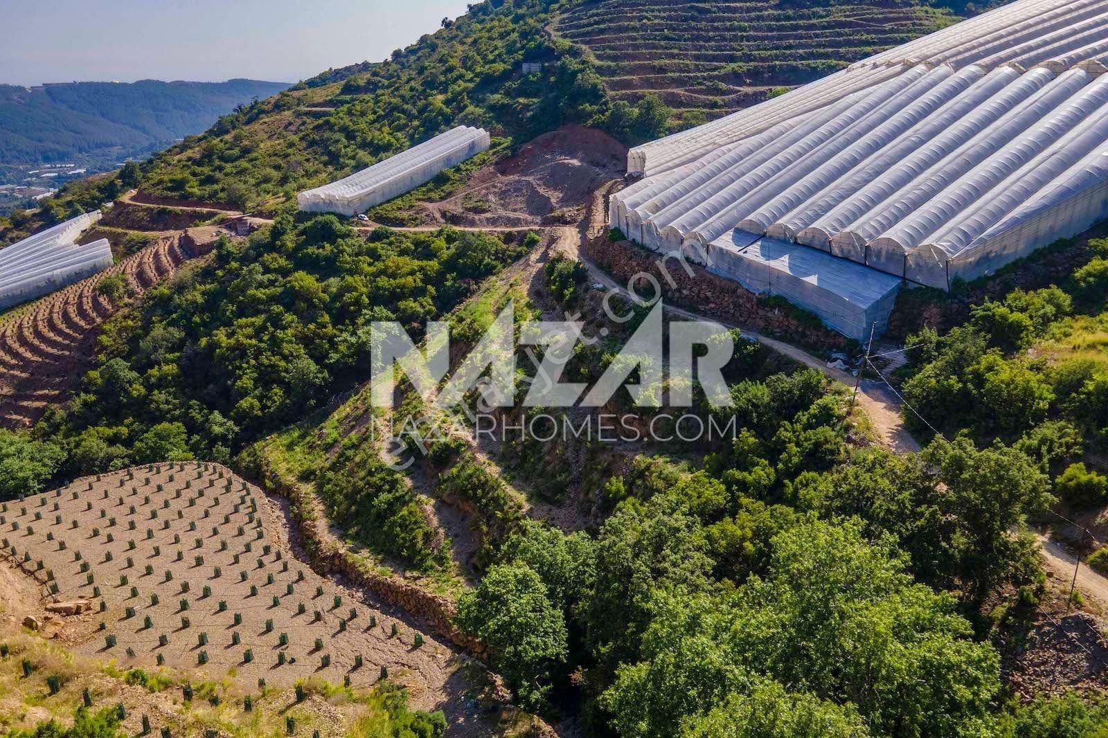 Alanya Güneyköy Mahallesi’nde Satılık 3.746 M2 Tarla - Görsel 17