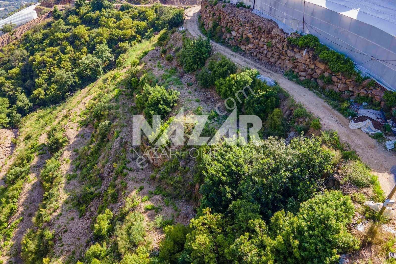 Alanya Güneyköy Mahallesi’nde Satılık 3.746 M2 Tarla - Görsel 8