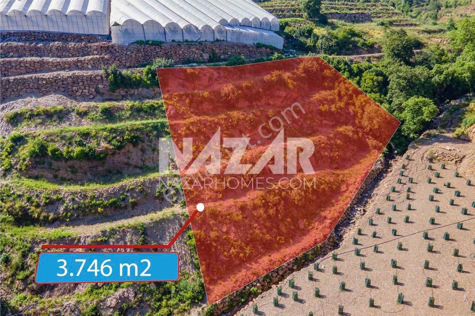 Alanya Güneyköy Mahallesi’nde Satılık 3.746 M2 Tarla - Görsel 3