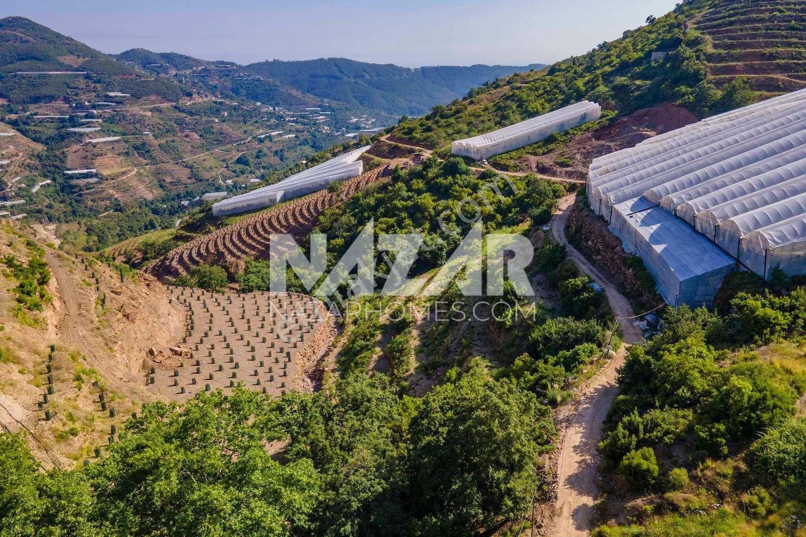 Alanya Güneyköy Mahallesi’nde Satılık 3.746 M2 Tarla - Görsel 18