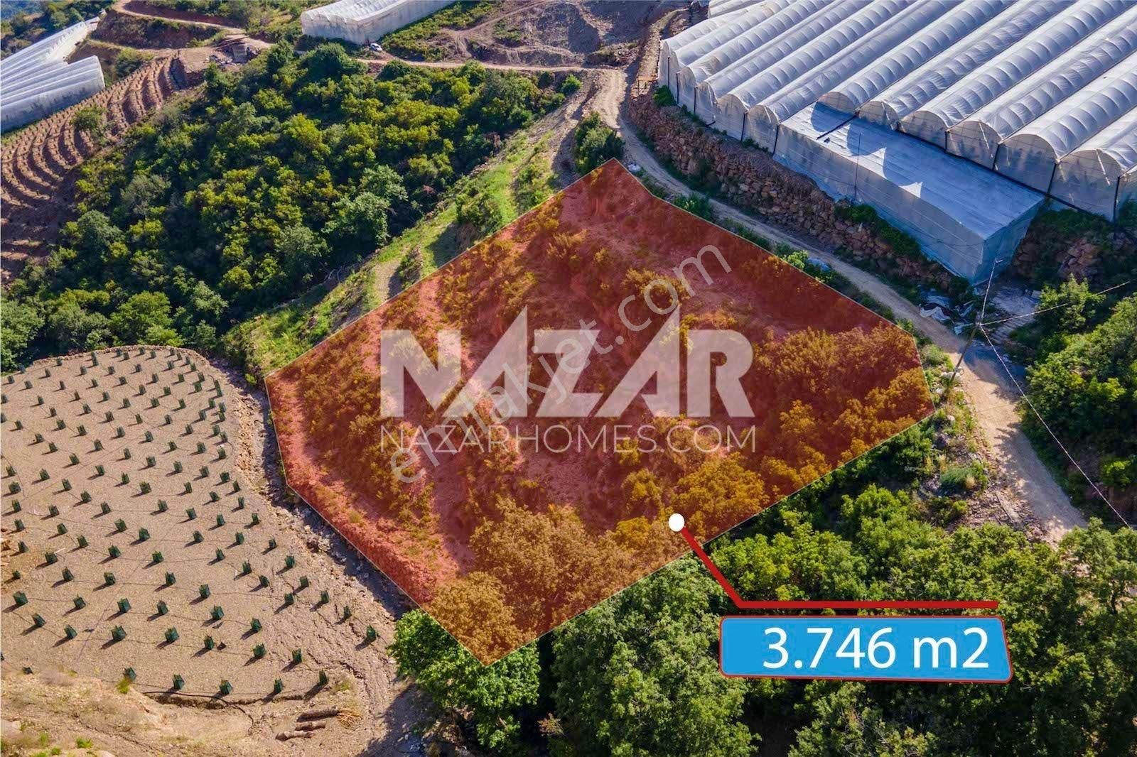 Alanya Güneyköy Mahallesi’nde Satılık 3.746 M2 Tarla - Görsel 4