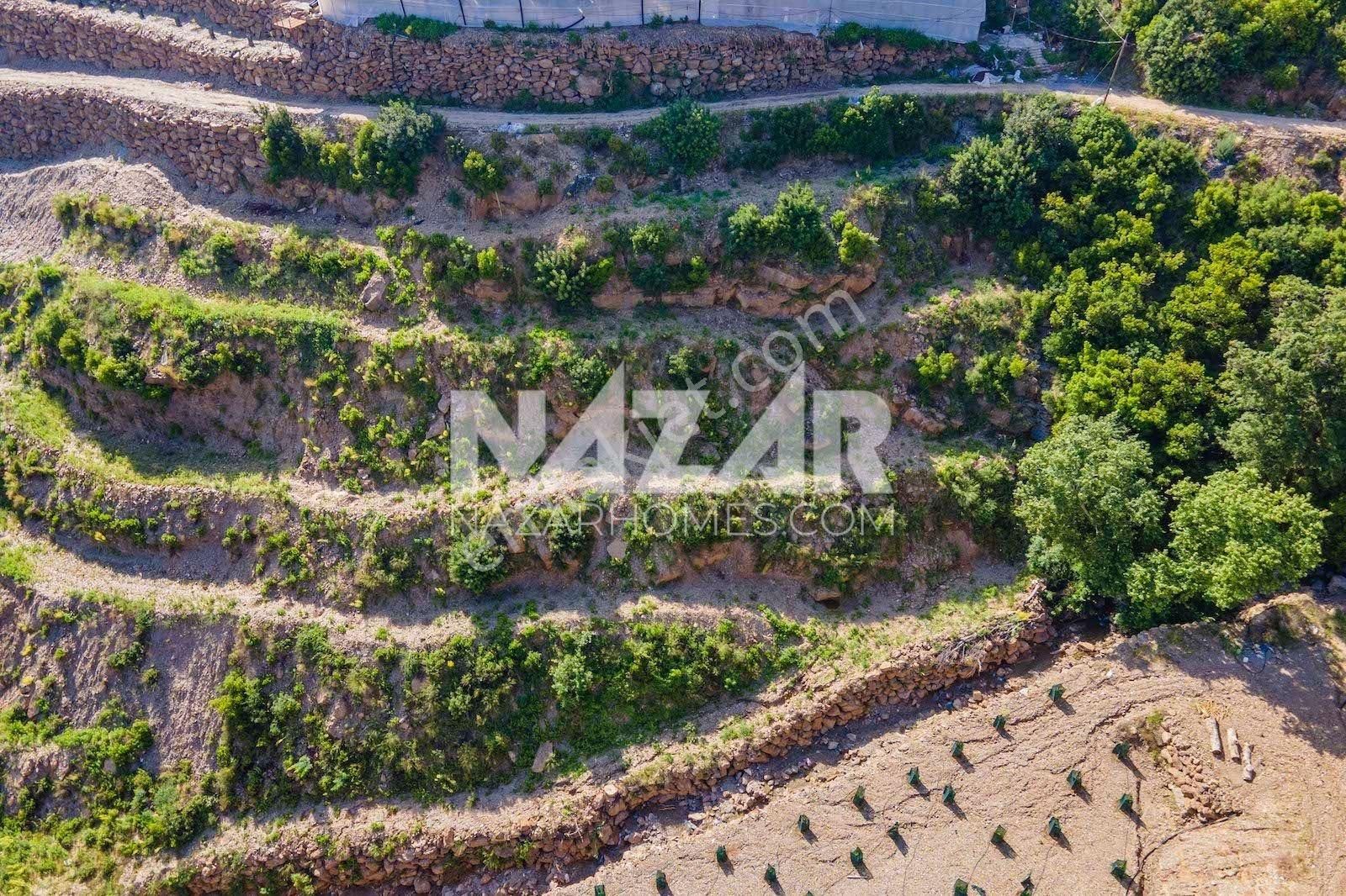 Alanya Güneyköy Mahallesi’nde Satılık 3.746 M2 Tarla - Görsel 13