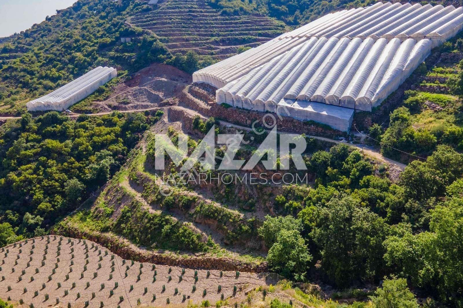 Alanya Güneyköy Mahallesi’nde Satılık 3.746 M2 Tarla - Görsel 19