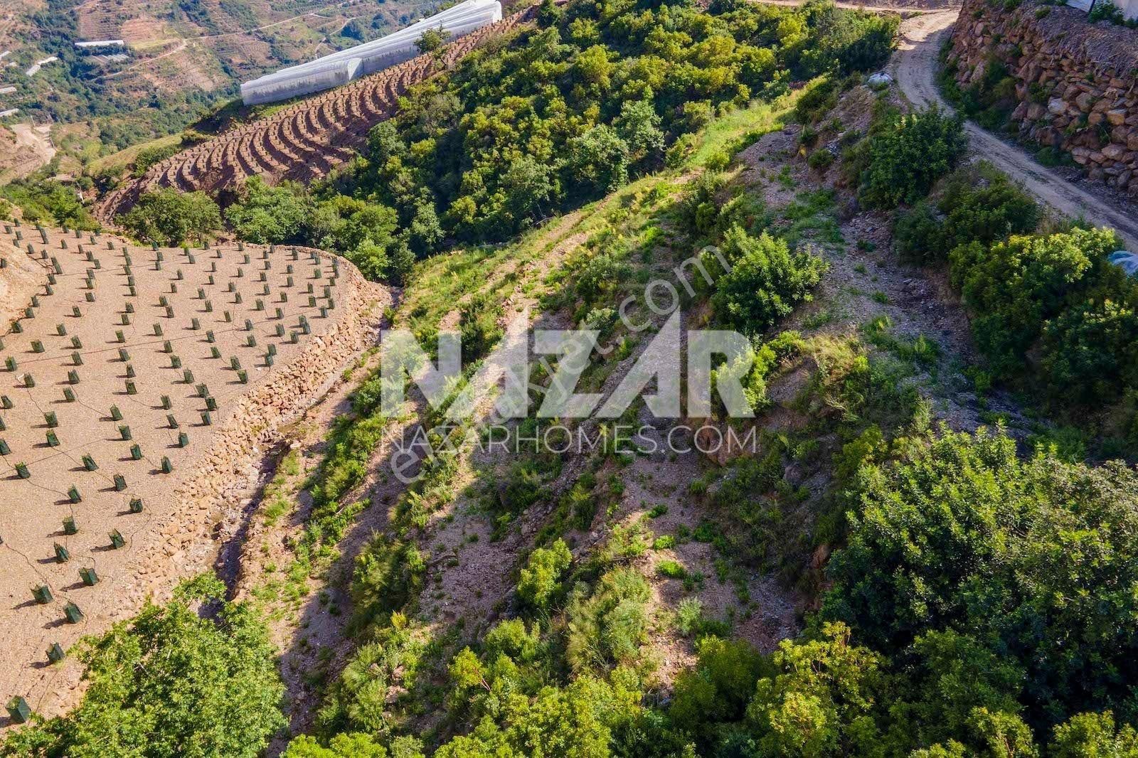 Alanya Güneyköy Mahallesi’nde Satılık 3.746 M2 Tarla - Görsel 6