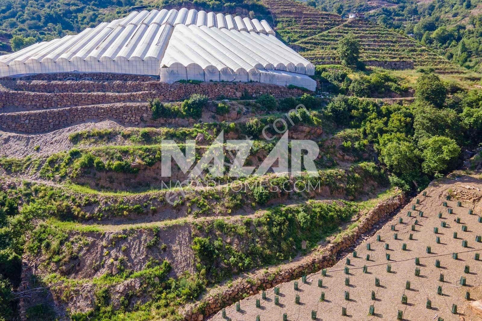 Alanya Güneyköy Mahallesi’nde Satılık 3.746 M2 Tarla - Görsel 21