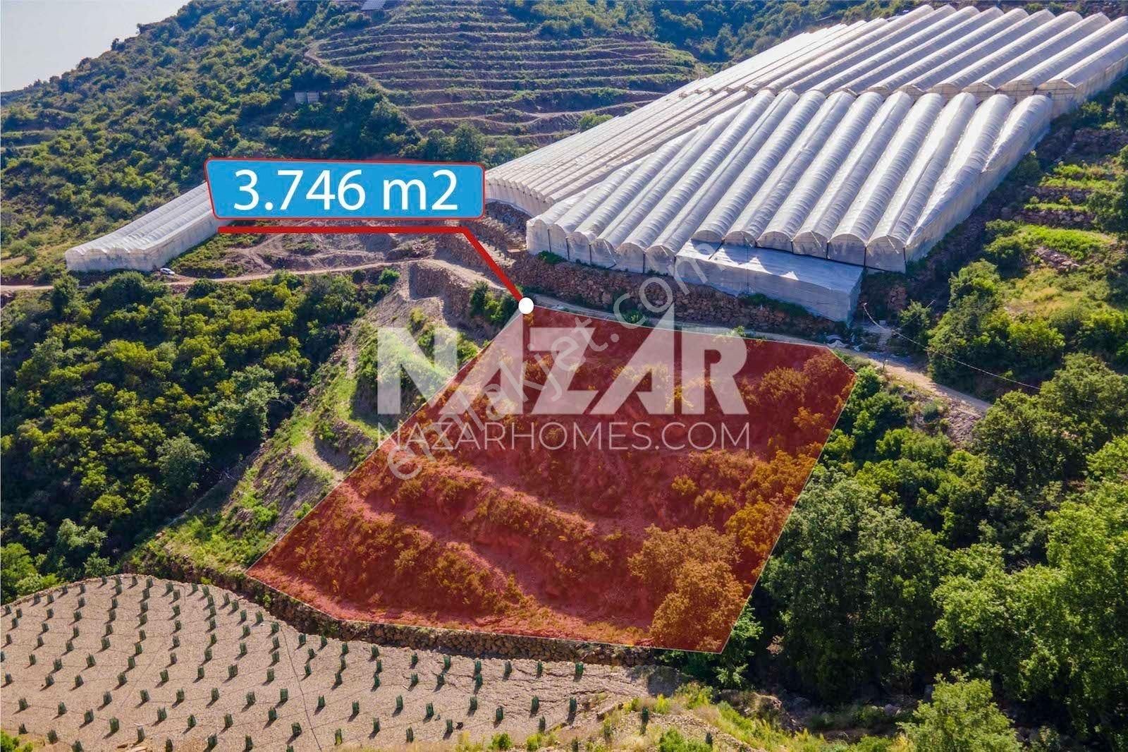 Alanya Güneyköy Mahallesi’nde Satılık 3.746 M2 Tarla - Görsel 7