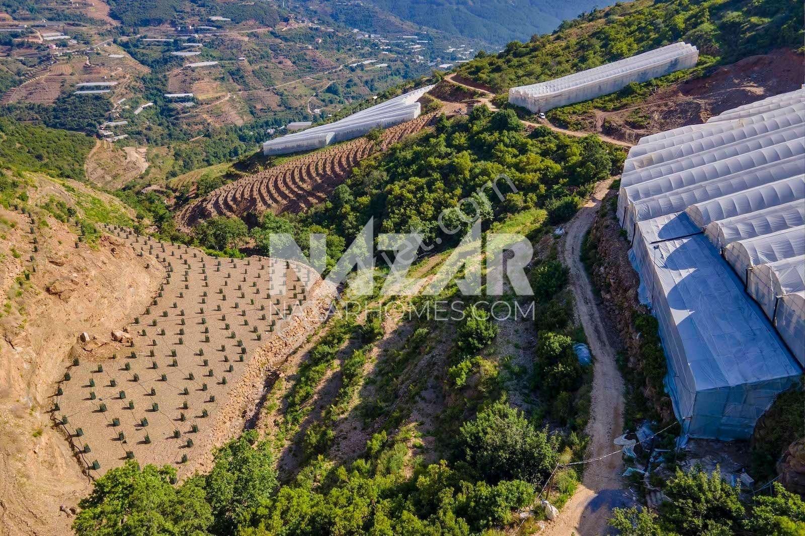Alanya Güneyköy Mahallesi’nde Satılık 3.746 M2 Tarla - Görsel 10