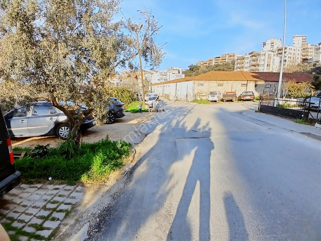 Mudanya Yeni Mah.kiralık Masrafsız 3+1 Daire - Görsel 2