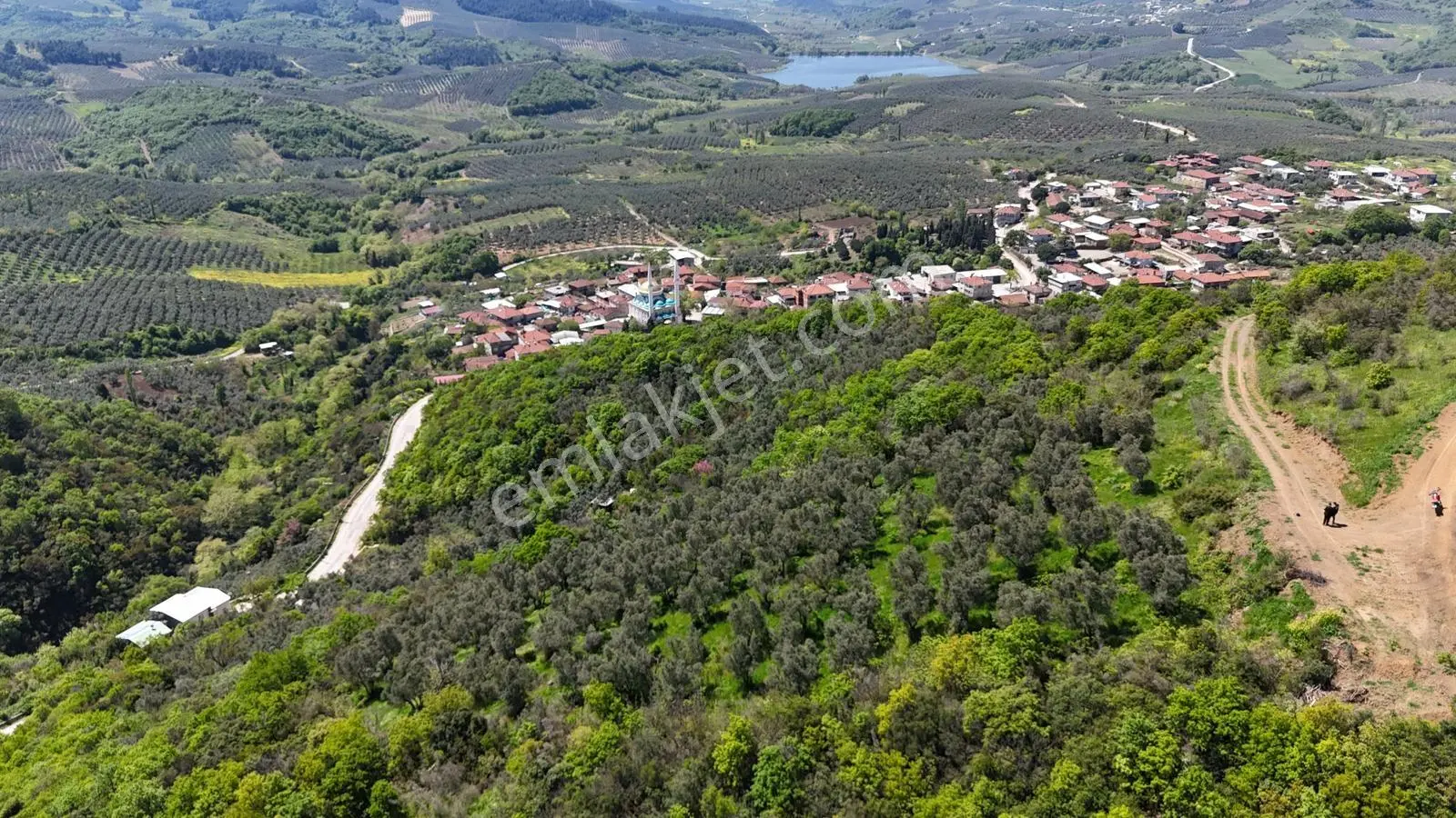 Bursa Mudanya Kaymakoba Manzaralı Satılık Zeytinlik 3513 M2 - Görsel 4