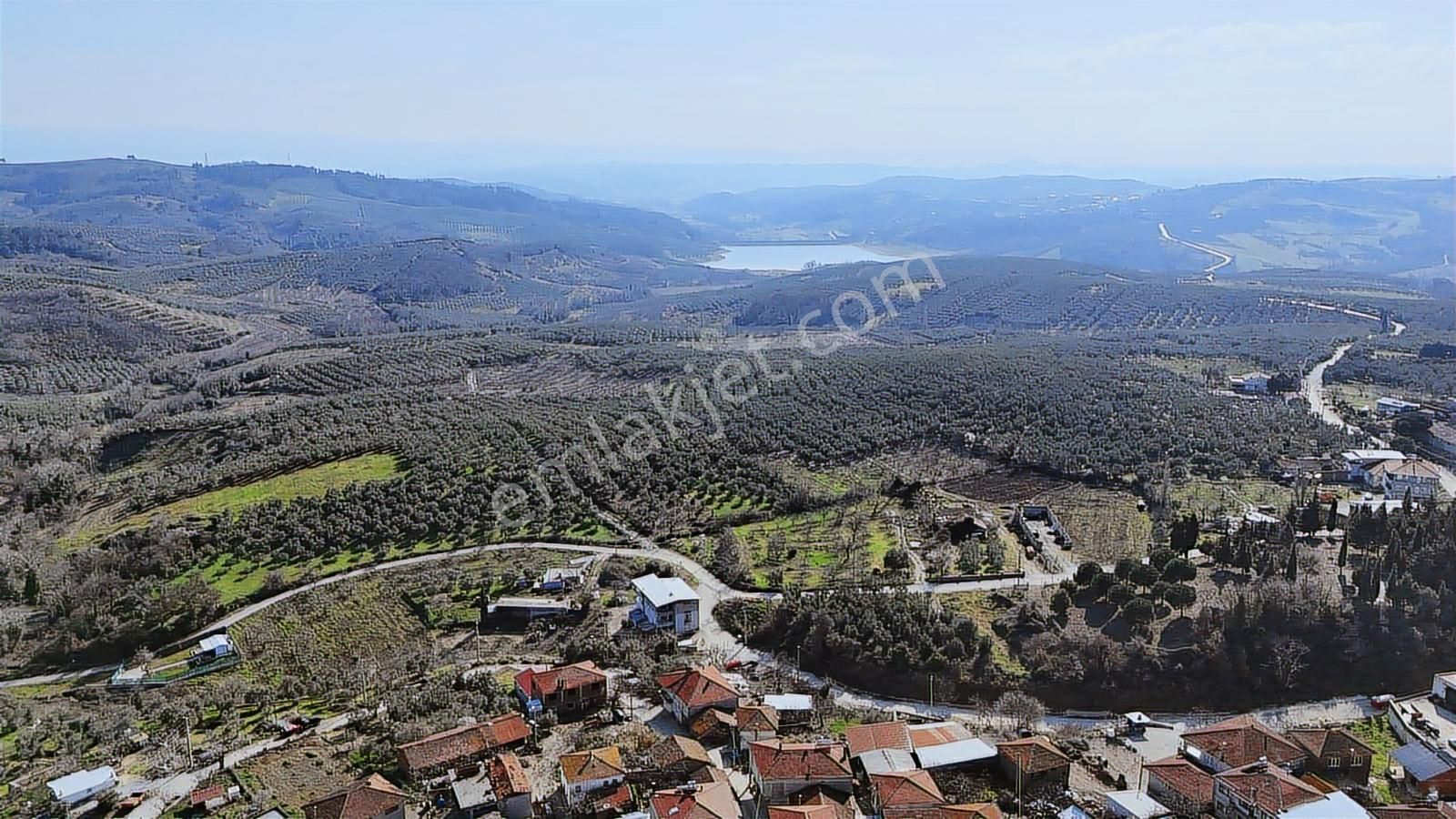 Bursa Mudanya Kaymakoba Manzaralı Satılık Zeytinlik 3513 M2 - Görsel 3