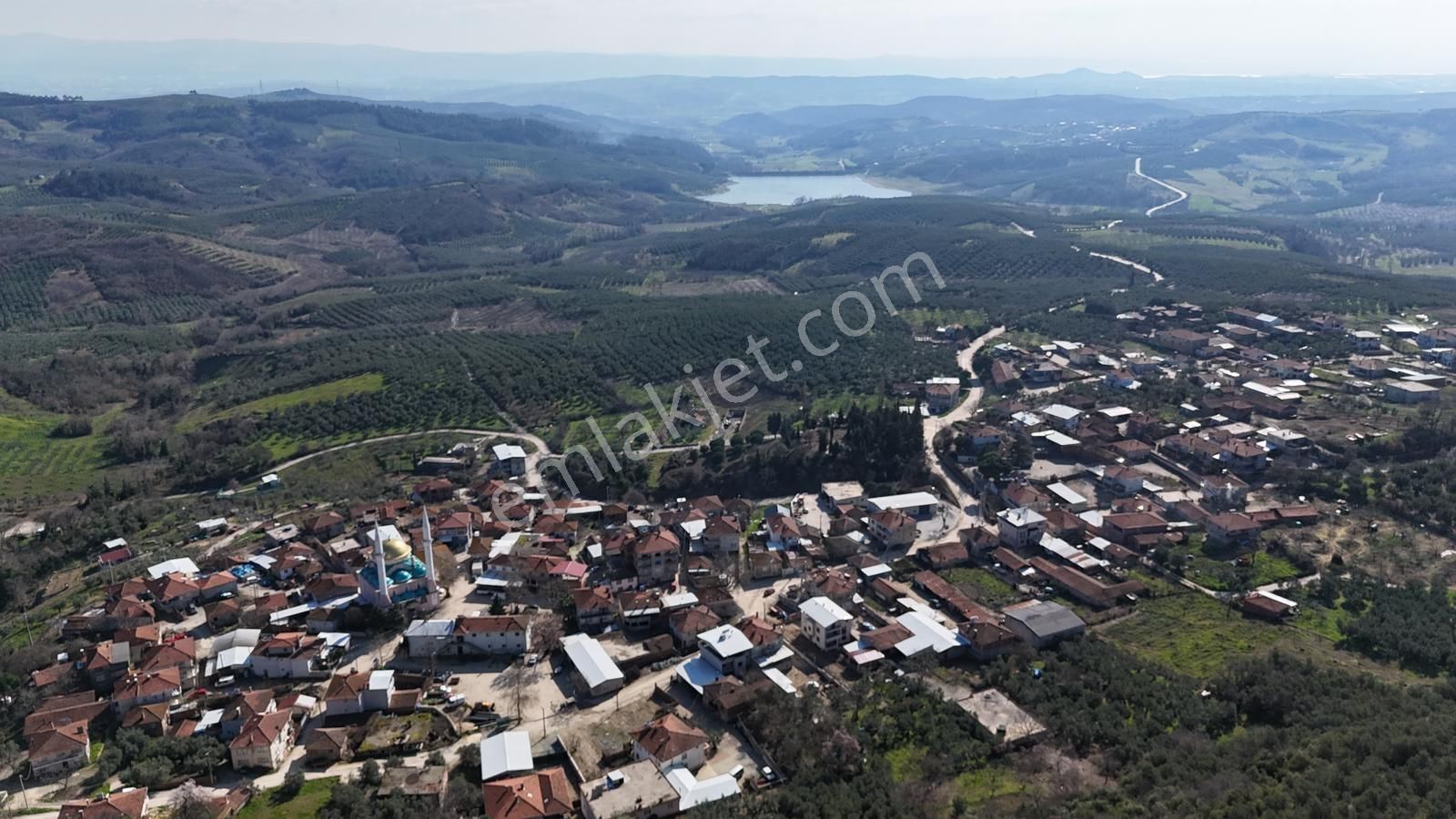 Bursa Mudanya Kaymakoba Manzaralı Satılık Zeytinlik 3513 M2 - Görsel 2