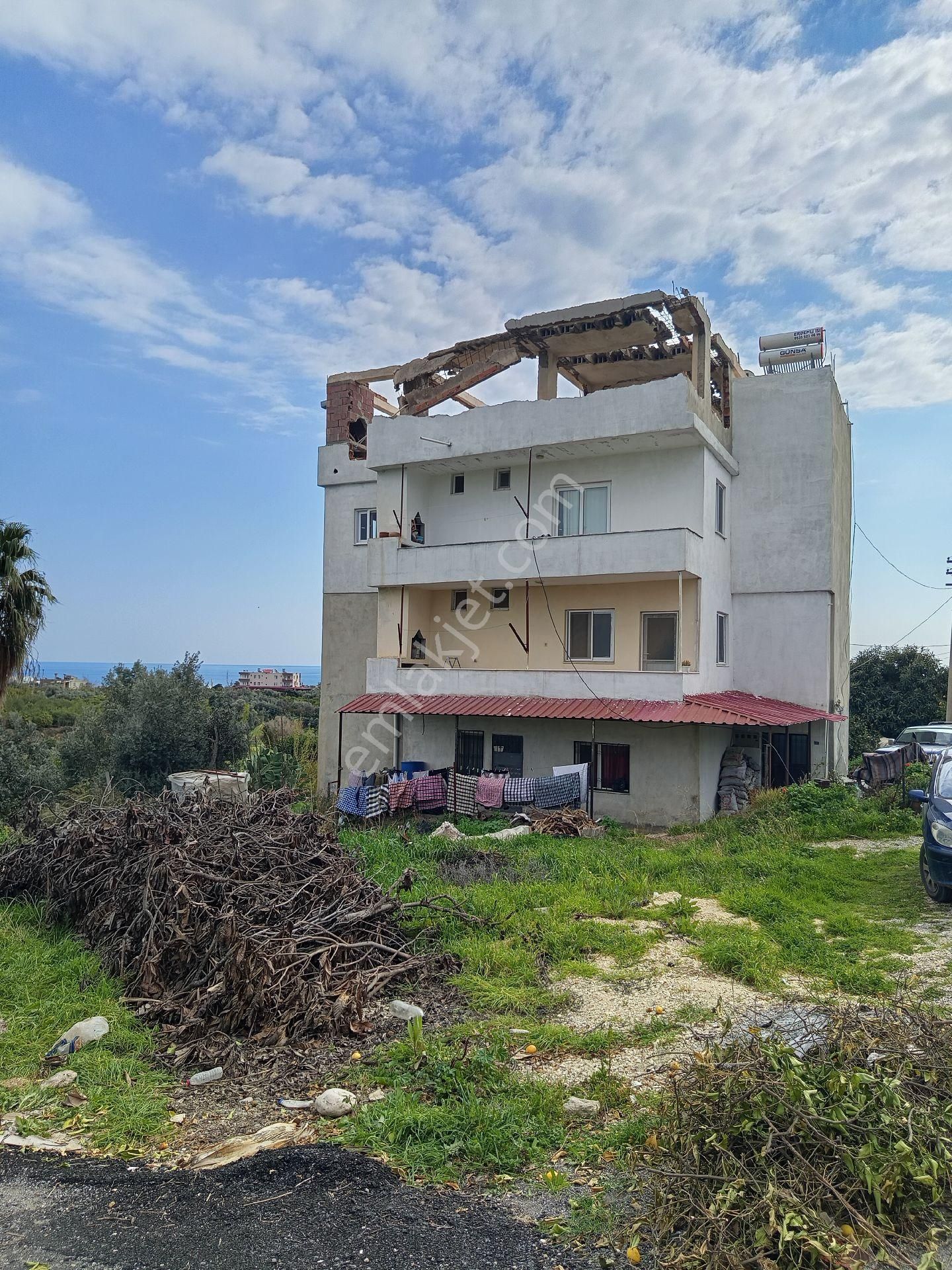 Limon Bahçesi Ve İçindeki 3 Daire Satılıktır - Görsel 3