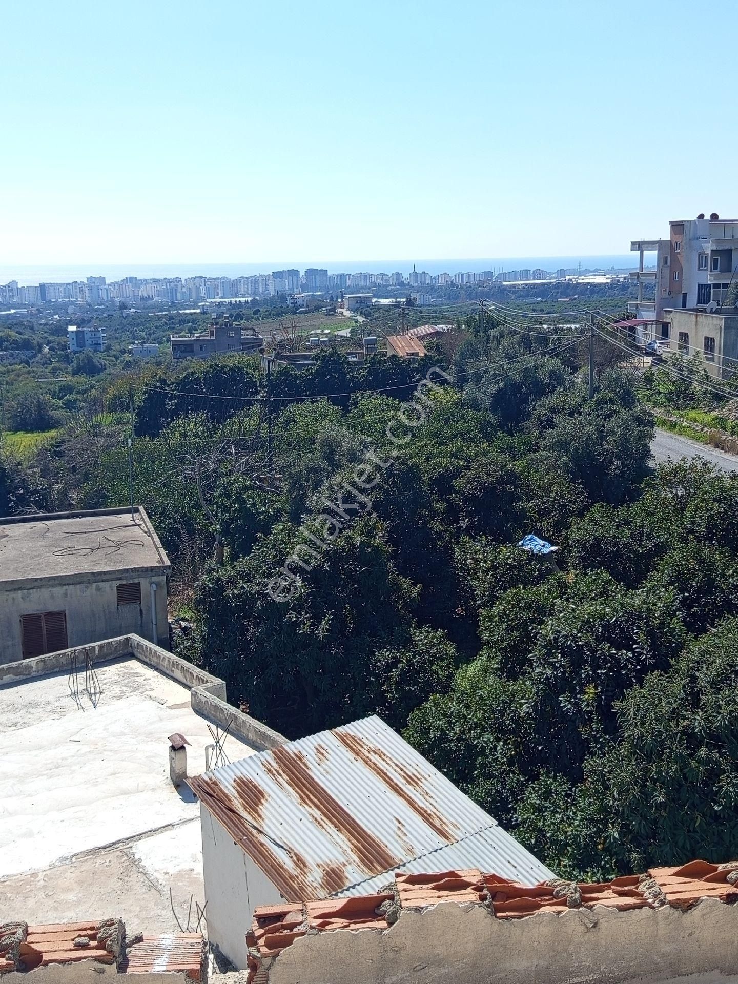 Limon Bahçesi Ve İçindeki 3 Daire Satılıktır - Görsel 5