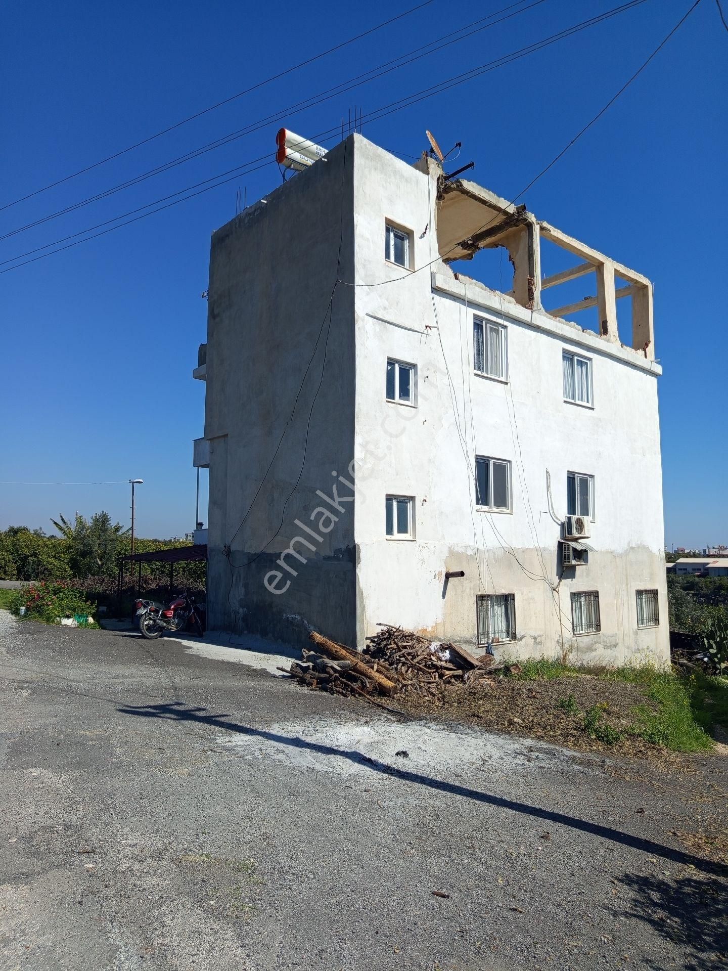 Limon Bahçesi Ve İçindeki 3 Daire Satılıktır - Görsel 4