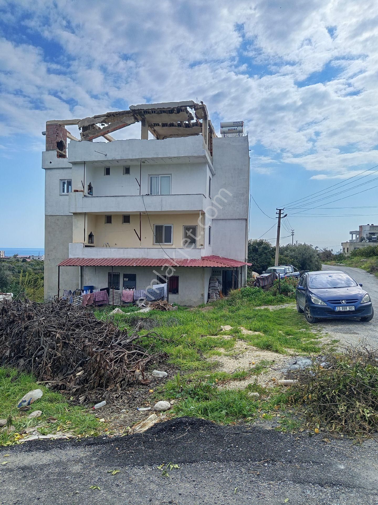 Limon Bahçesi Ve İçindeki 3 Daire Satılıktır - Görsel 2