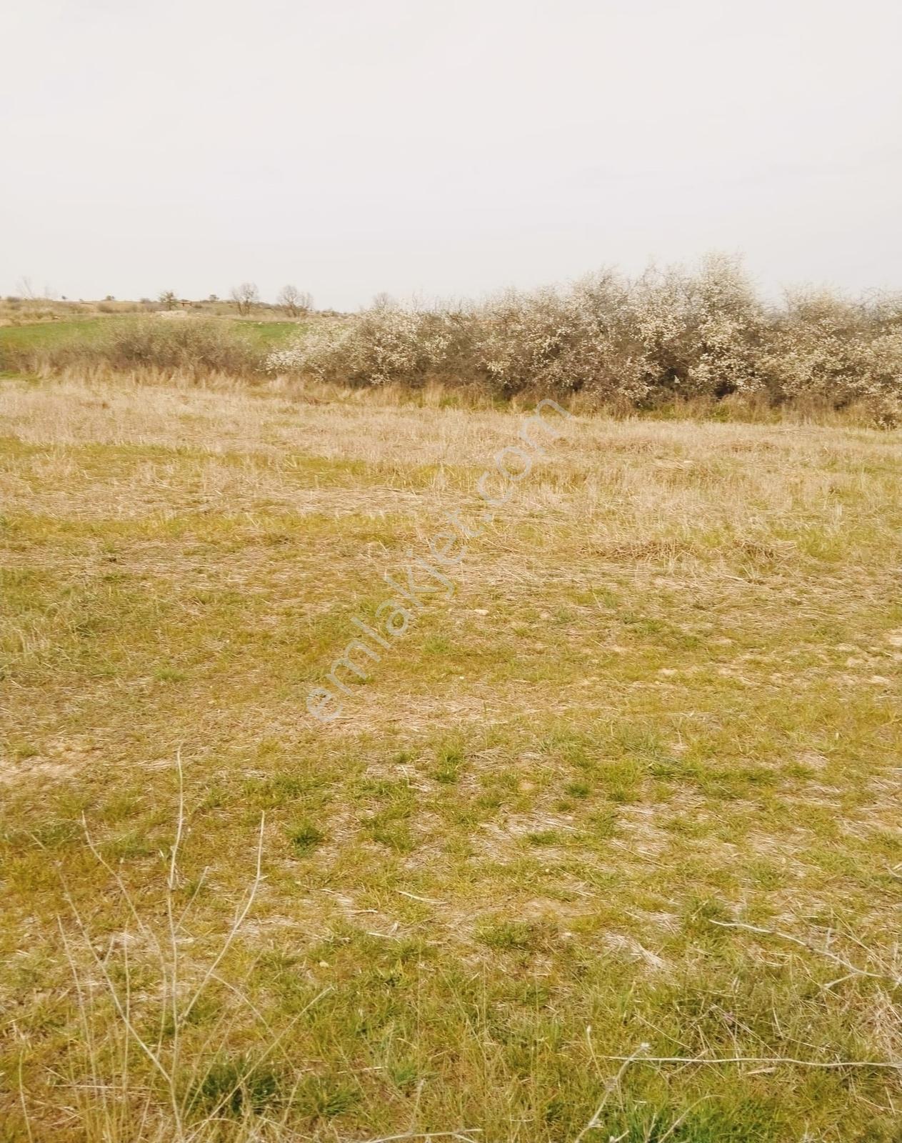 Çiftlik İçin Harika Konum Resmi Yol Cepheli Müstakil Tapu 4530 M - Görsel 9