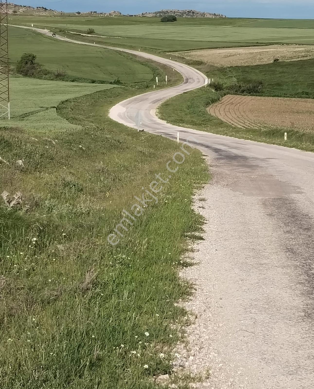 Çiftlik İçin Harika Konum Resmi Yol Cepheli Müstakil Tapu 4530 M - Görsel 6