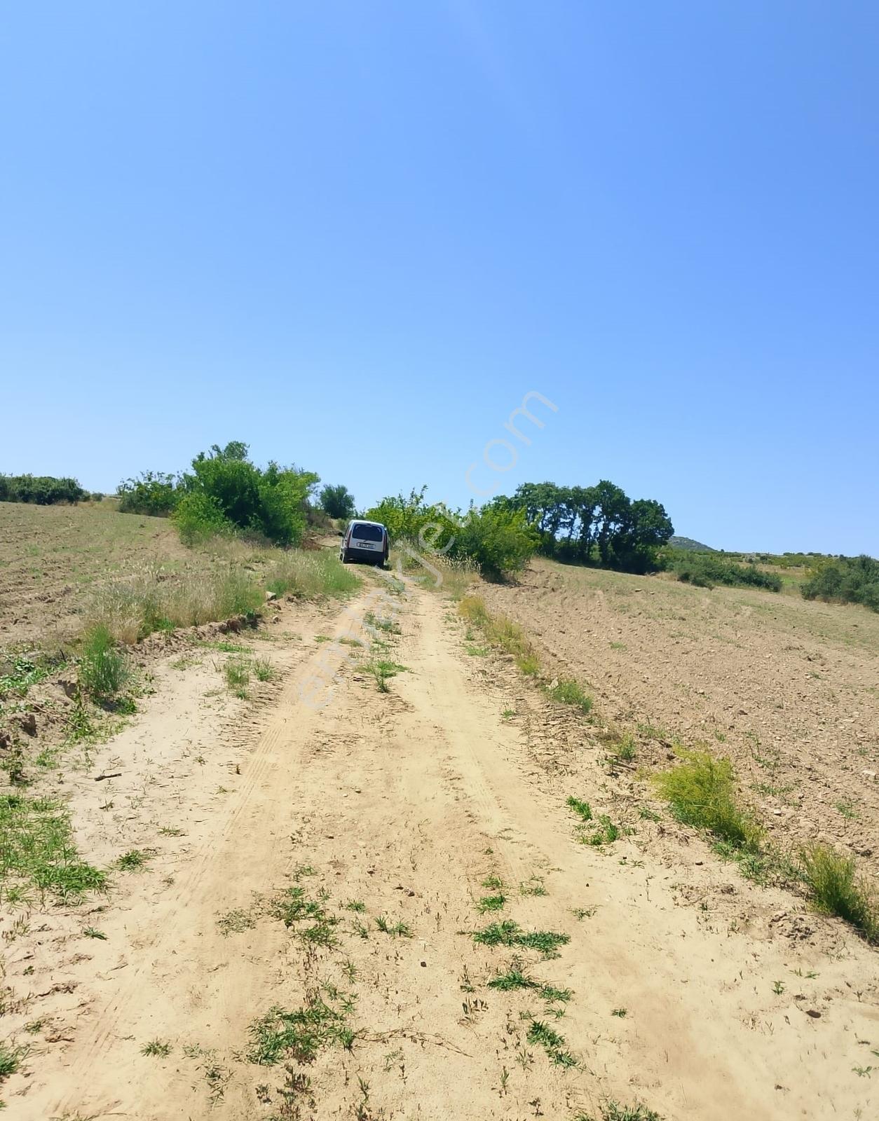 Çiftlik İçin Harika Konum Resmi Yol Cepheli Müstakil Tapu 4530 M - Görsel 10