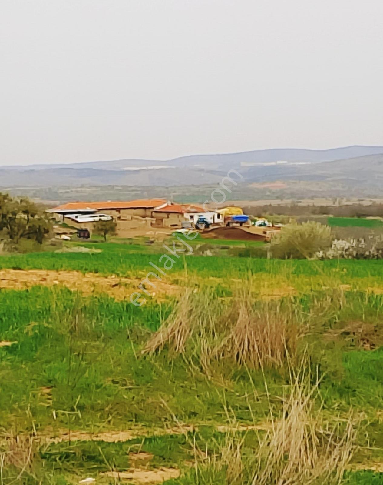 Çiftlik İçin Harika Konum Resmi Yol Cepheli Müstakil Tapu 4530 M - Görsel 22
