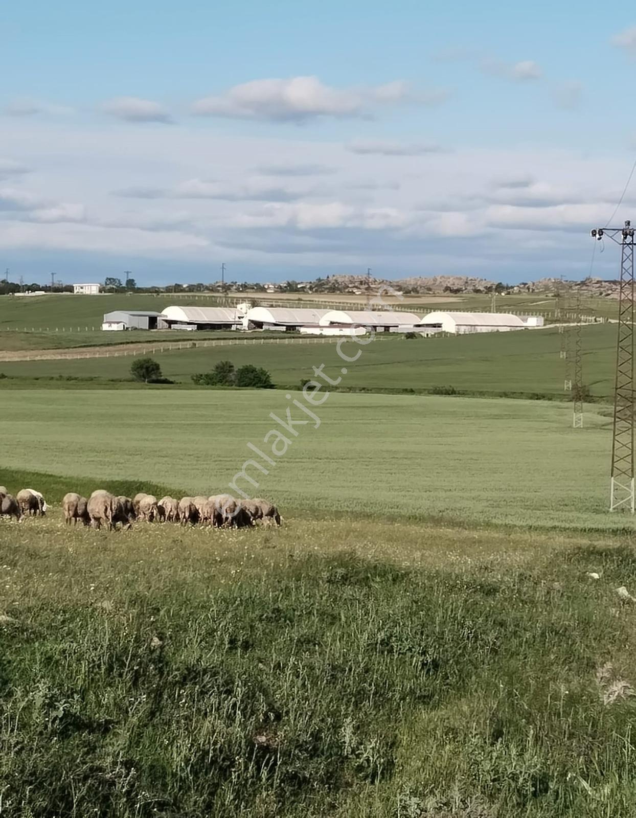 Çiftlik İçin Harika Konum Resmi Yol Cepheli Müstakil Tapu 4530 M - Görsel 16