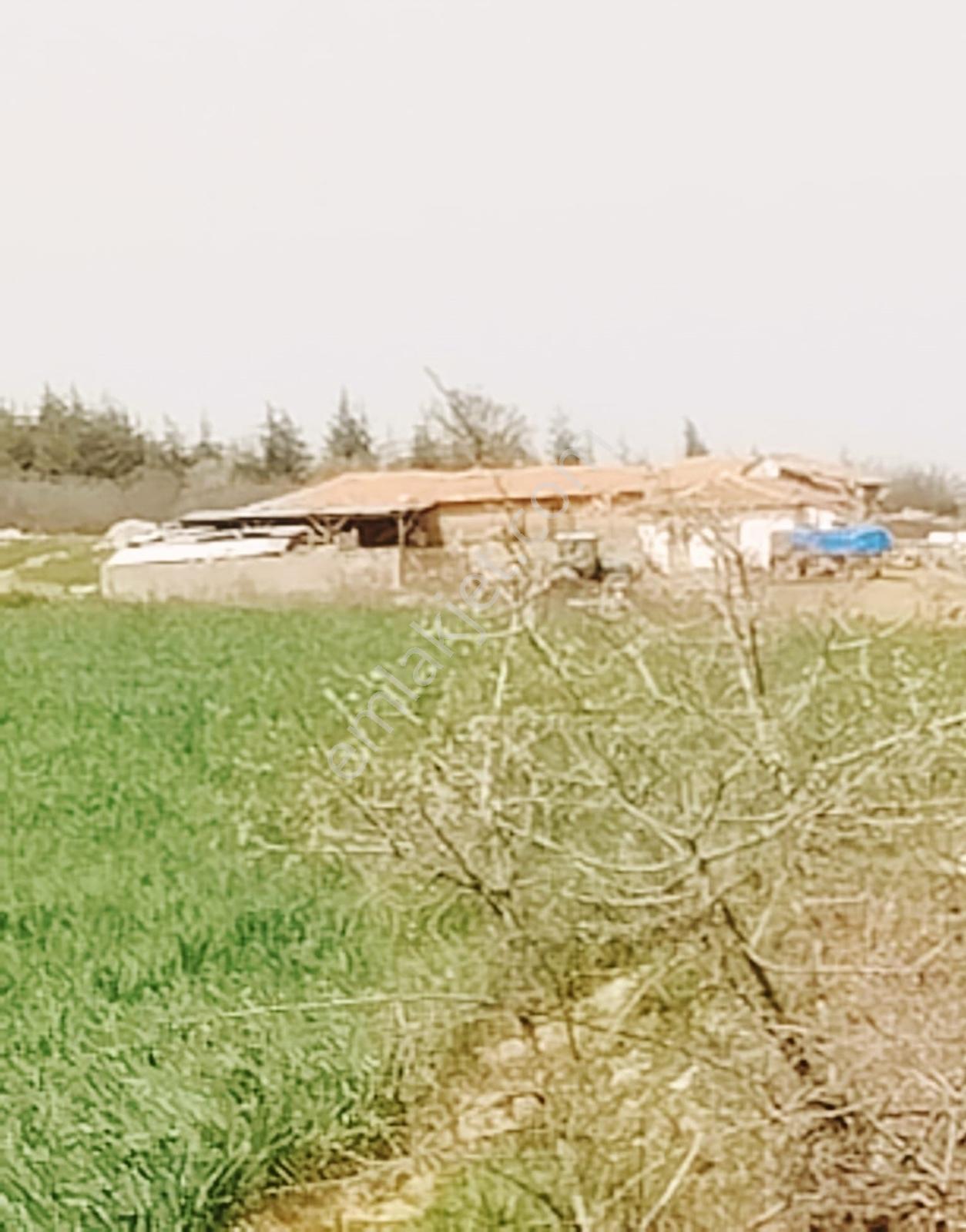 Çiftlik İçin Harika Konum Resmi Yol Cepheli Müstakil Tapu 4530 M - Görsel 4