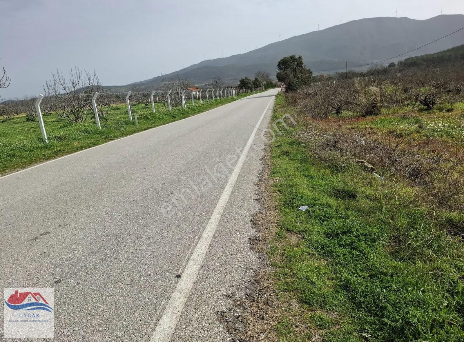 Aydın Kuşadası Çınarköyü Kahvederesi Mevkisi - Görsel 7