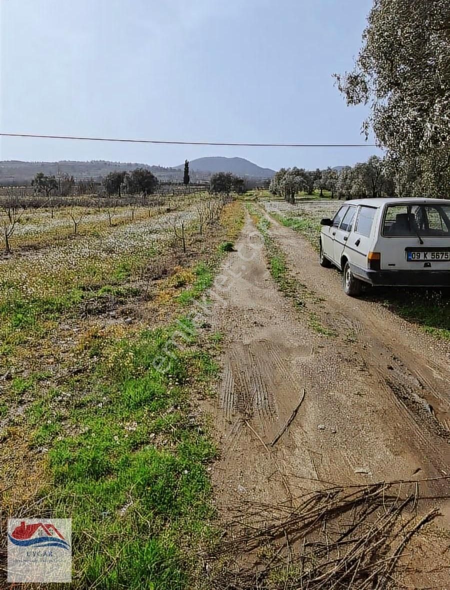 Aydın Kuşadası Çınarköyü Kahvederesi Mevkisi - Görsel 3