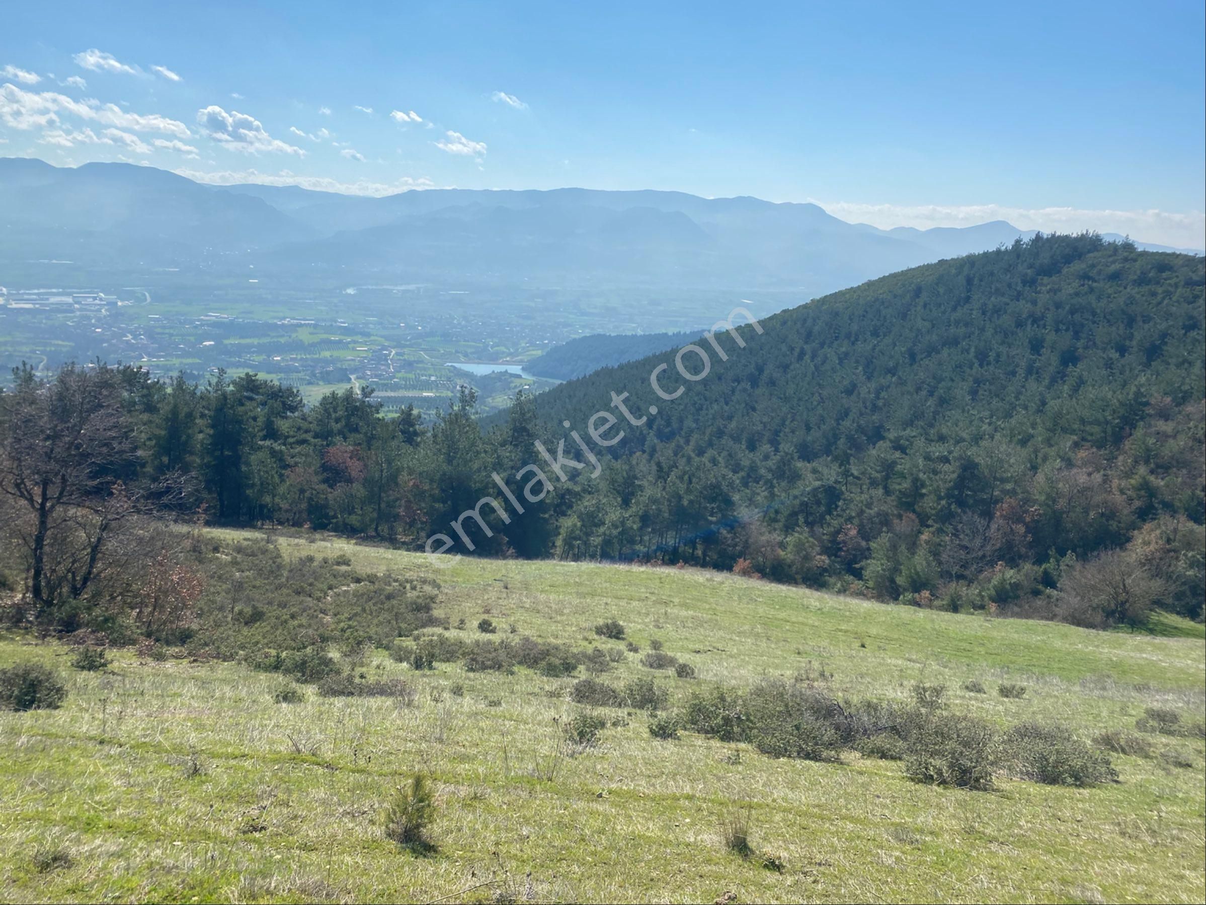 Remax Maviden İçinde Suyu Olan Panaromik Manzaralı Çiftlik Arsas