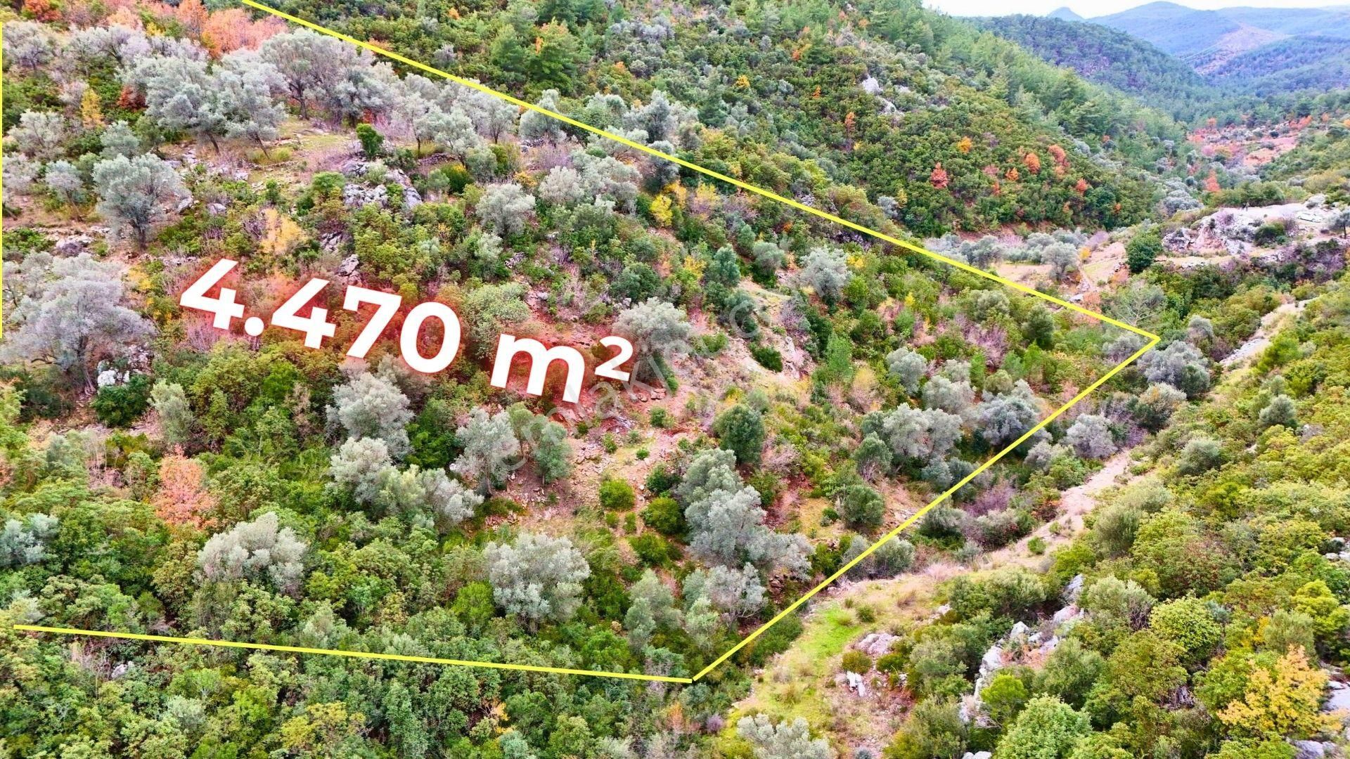 Alanya-karamanlar’ Da Satılık 4.470m² Arazi - Görsel 2