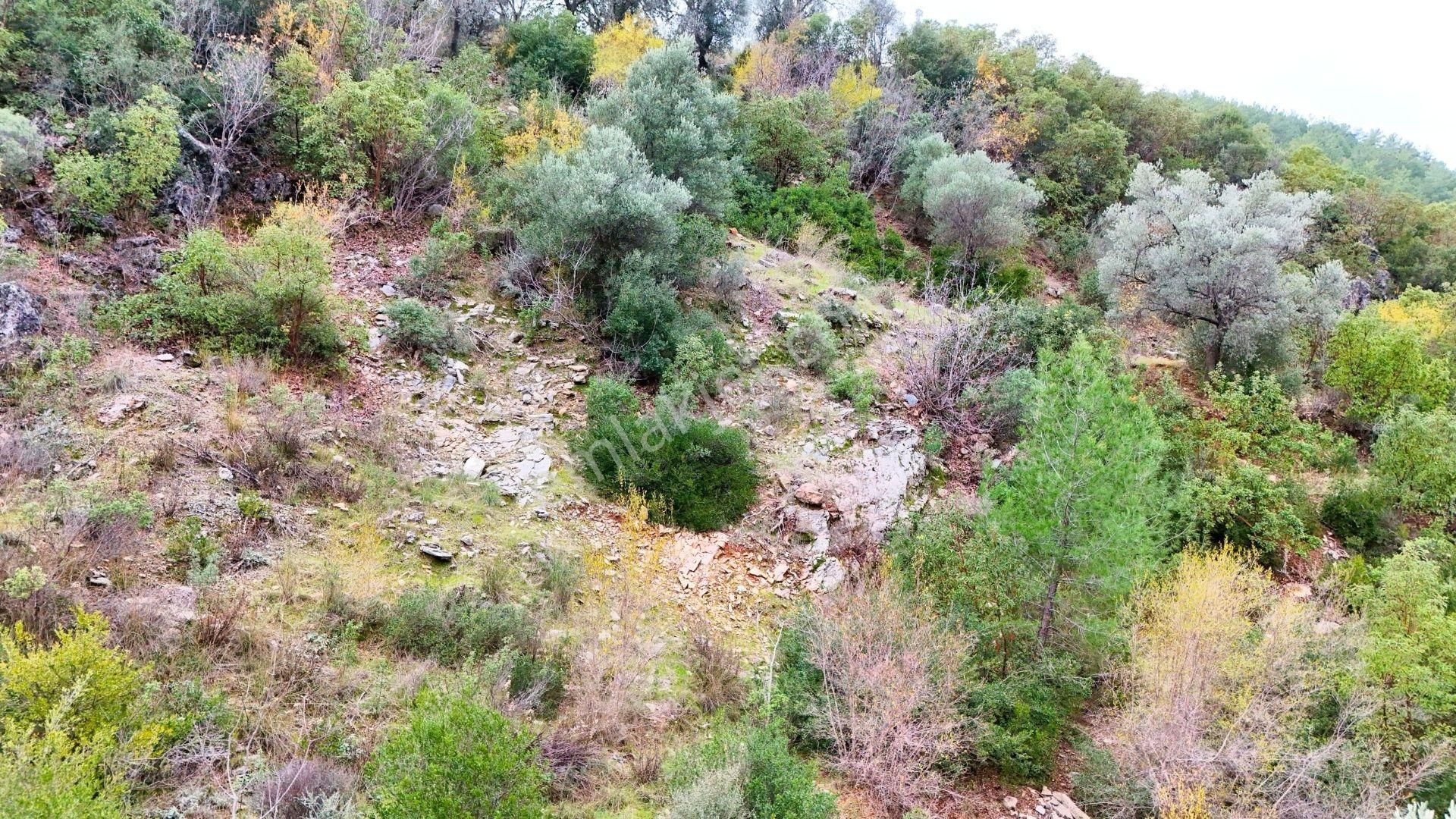 Alanya-karamanlar’ Da Satılık 4.470m² Arazi - Görsel 5