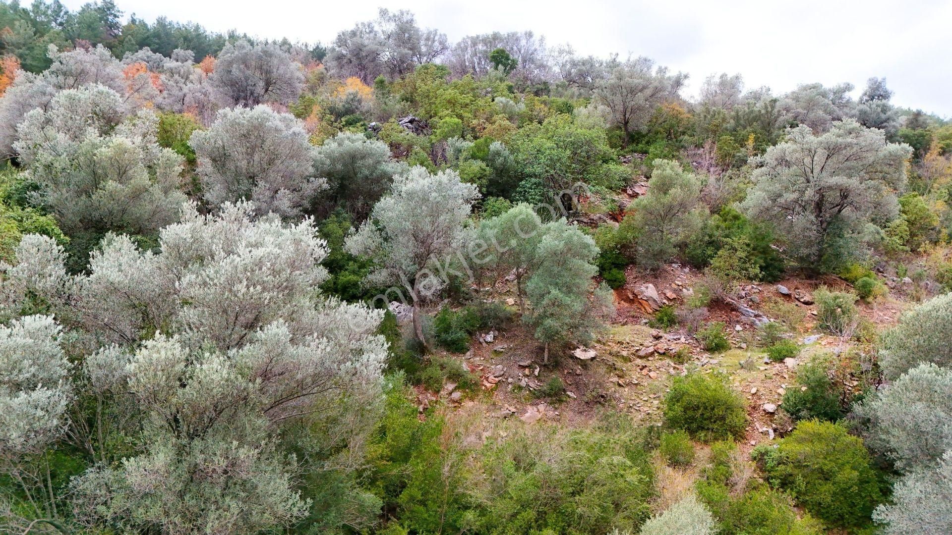 Alanya-karamanlar’ Da Satılık 4.470m² Arazi - Görsel 8